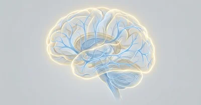 αリポ酸の効果サイズ、進行性MS治療Phase 2 RCTで検証された結果