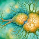 ストレス不安と高血糖は脳でつながるのか。アミグダラ星状細胞老化の分子機序