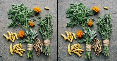 アシュワガンダの効果サイズ、コルチゾールは下がるが体感ストレスは変わらない？