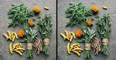 アシュワガンダの効果サイズ、コルチゾールは下がるが体感ストレスは変わらない？