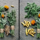 アシュワガンダの効果サイズ、コルチゾールは下がるが体感ストレスは変わらない？