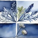 アシュワガンダと更年期症状、2つのRCTで見えてきた女性への効果