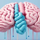 Asprey式プロバイオティクス3種使い分け、腸脳軸・肝臓・全体を整えるQOLアプローチ