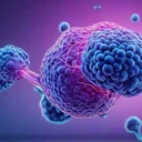 カロリー制限がinflammagingを抑える分子機構：CALERIE試験の補体C3a経路