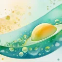 カロリー制限はなぜ炎症老化を下げるのか。CALERIEが示した補体C3aチェックポイント