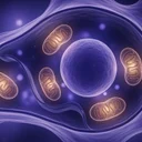 アピゲニンとNAD+の関係、カモミールが老化にも関わるかもしれない話