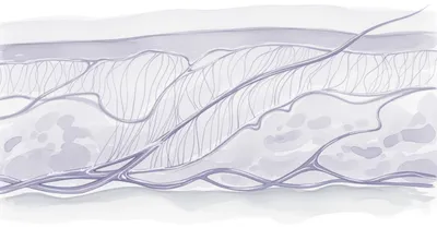 コラーゲンに意味はあるか？論文原理主義者 vs QOL研究家が本気で議論した