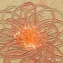 コラーゲンサプリのエビデンスは弱い？それでも私が1年以上続けている理由