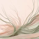 市販ヘアグロース・サプリのメタ分析、本当に髪は生えるのかをPubMedベースで整理する