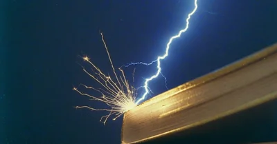 クレアチンは脳にも効く？2024年の研究を効果サイズで正直に評価