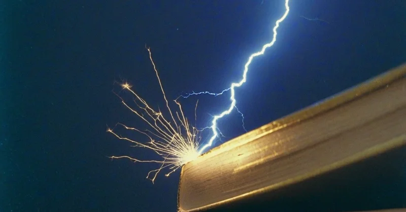 クレアチンは脳にも効く？2024年の研究を効果サイズで正直に評価