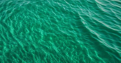 EPA:DHA比率のメタアナリシス、オメガ3サプリの最適配合を論文から読み解く