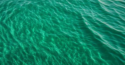 EPA:DHA比率のメタアナリシス、オメガ3サプリの最適配合を論文から読み解く