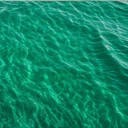 EPA:DHA比率のメタアナリシス、オメガ3サプリの最適配合を論文から読み解く