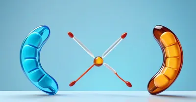 高吸収オメガ3は筋トレに有利？EPA/AA比だけ上がったRCT