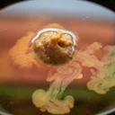 発酵食品と地中海食を両立させる方法。味噌汁にオリーブオイルは意外と合う