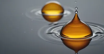 フィッシュオイル減量論の真実、高用量サプリで心房細動リスク24%増加