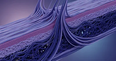 コラーゲン15gで睡眠サポート、グリシン3gを夜ルーティンに組み込む方法