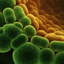 腹八分目を家族で実践、43カ国15万人の研究が示す「食卓の工夫」