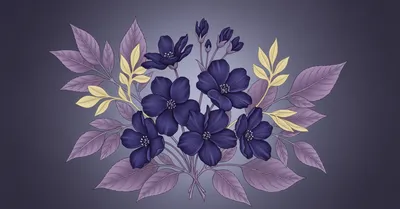 ハーブティーの習慣で睡眠改善、長寿の島イカリアに学ぶリラックスタイム