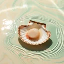 帆立の貝柱で家族のタンパク質補給、子供も食べやすい簡単レシピ。タウリン・EPA・DHAのエビデンス