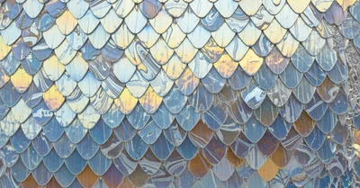 子供にDHAサプリで頭が良くなる？2,399人の大規模研究が示す厳しい現実