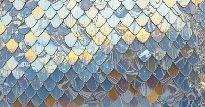 子供にDHAサプリで頭が良くなる？2,399人の大規模研究が示す厳しい現実