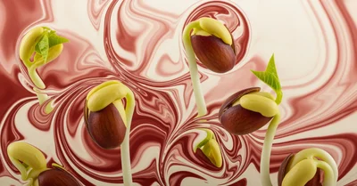 豆類の効果サイズ、心血管・糖尿病リスク低減をメタアナリシスで検証