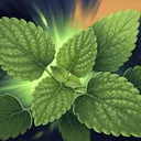 レモンバーム（メリッサ）はストレスに効く？ハーブティーで続ける不安ケア