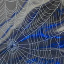 低用量リチウム、バイオハッカーが注目する神経保護成分のエビデンスを検証する