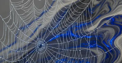 低用量リチウム、バイオハッカーが注目する神経保護成分のエビデンスを検証する