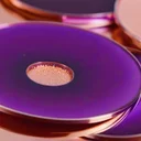 プロバイオティクスLp815と睡眠改善、尿中GABA増加のメカニズムをRCTから解説