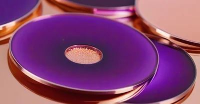 プロバイオティクスLp815と睡眠改善、尿中GABA増加のメカニズムをRCTから解説