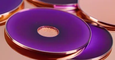 プロバイオティクスLp815と睡眠改善、尿中GABA増加のメカニズムをRCTから解説