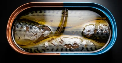 オメガ3はサバ缶で摂るべきか？サプリと比較したコスパと実際の効果