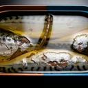 オメガ3はサバ缶で摂るべきか？サプリと比較したコスパと実際の効果