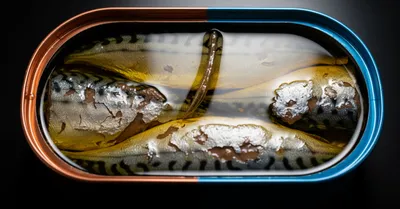 オメガ3はサバ缶で摂るべきか？サプリと比較したコスパと実際の効果