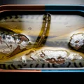 オメガ3はサバ缶で摂るべきか？サプリと比較したコスパと実際の効果