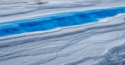 マグネシウムL-スレオネート、脳に届く唯一の形態は本当か。RCTから検証する