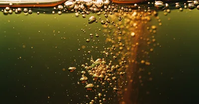 地中海式朝食の始め方、トースト+マーガリンからの卒業で朝が変わる