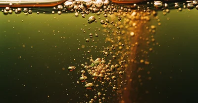 地中海式朝食の始め方、トースト+マーガリンからの卒業で朝が変わる