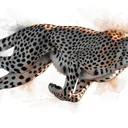 地中海食のタンパク源、筋肥大に最適な組み合わせを効果サイズで検証