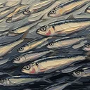 地中海式和食で健康長寿、オリーブオイル×発酵食品の続けやすいアレンジ術