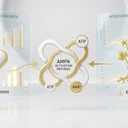 メトホルミンからベルベリンへ、長寿研究者が切り替えた理由を論文から解説