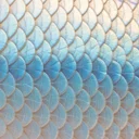 MINDダイエットと認知機能、観察研究は有効でもRCTは有意差なし。地中海食との比較