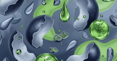 NAD+前駆体NMN/NRの効果サイズを検証、本当に若返るのか？