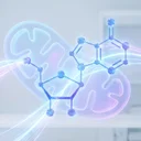 NMNのエビデンス、本当に効くのか。2024年メタアナリシスが出した厳しい結論