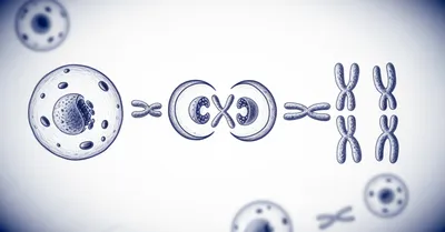 NMN vs NR。2026年Nature Metabolism論文が覆した「NMNの方が優れている」神話