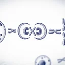 NMN vs NR。2026年Nature Metabolism論文が覆した「NMNの方が優れている」神話