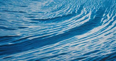 子供の脳発達に効く栄養素は？栄養認知神経科学の最新論文を家族目線で読む